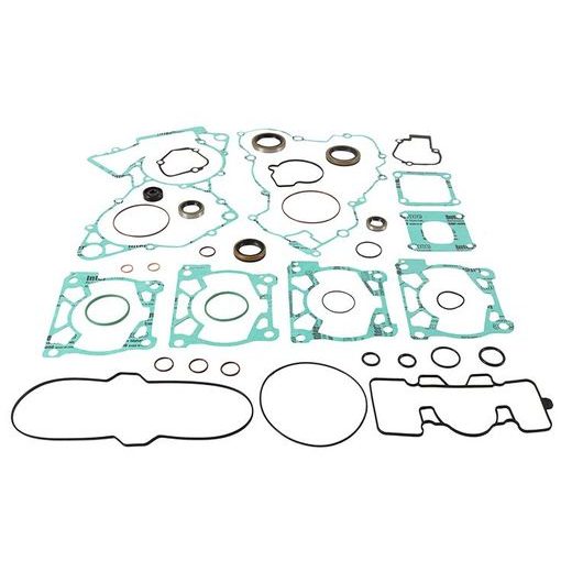 Complete Gasket Kit with Oil Seals WINDEROSA 8110010