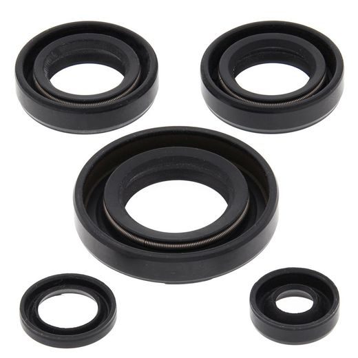 Engine Oil Seal Kit WINDEROSA 822230
