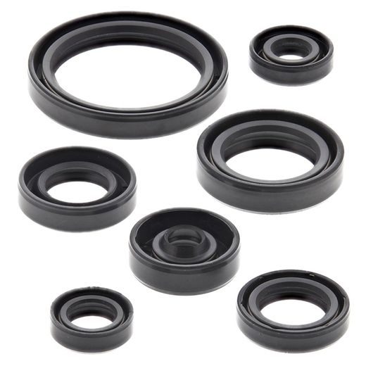 Engine Oil Seal Kit WINDEROSA 822692