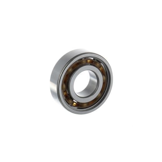 Bearing SKF MS250470120N3 6005TN9/C3