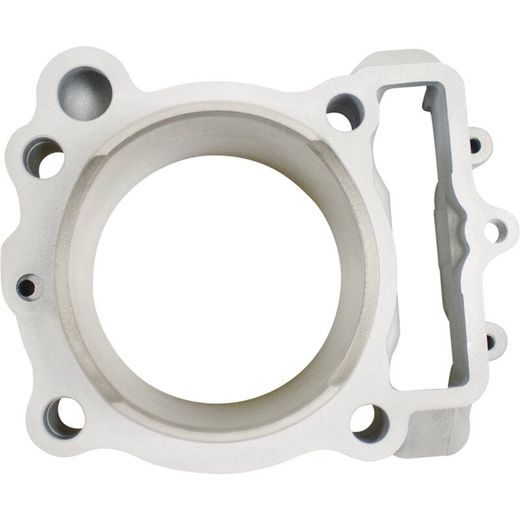 Standard Bore Cylinder Kit CYLINDER WORKS CW30017K01