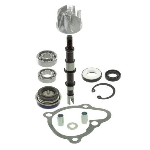 Set za vodno črpalko RMS 100110460