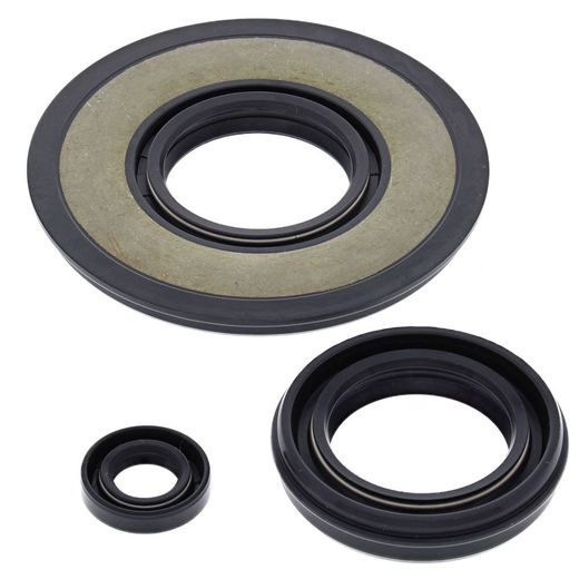 Engine Oil Seal Kit WINDEROSA 55170