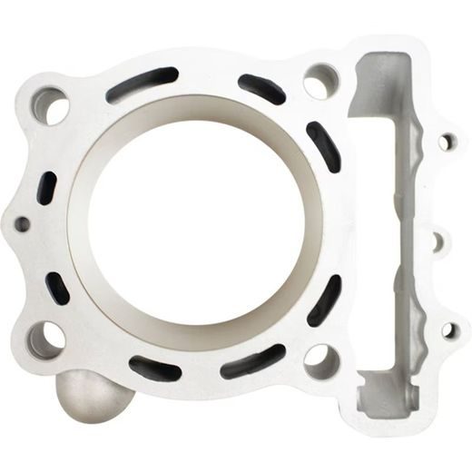Big Bore Cylinder Kit CYLINDER WORKS CW31017K01 81mm