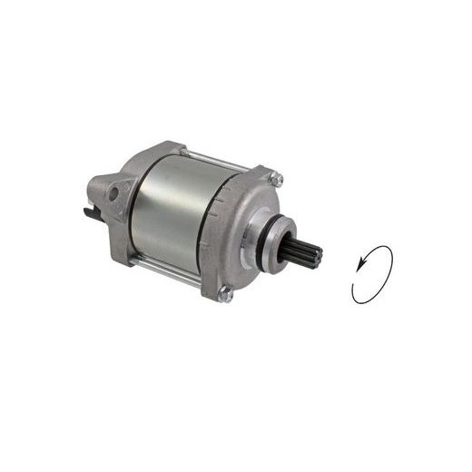 Zaganjalnik (štarter za motor) RMS 246390510