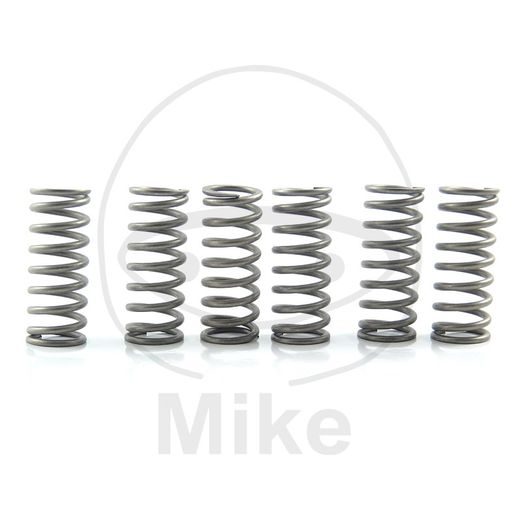 Clutch spring kit EBC CSK196 6