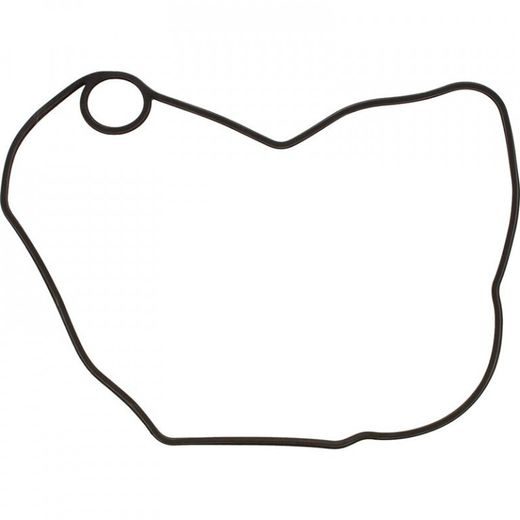 Ignition Cover Gasket WINDEROSA 816330