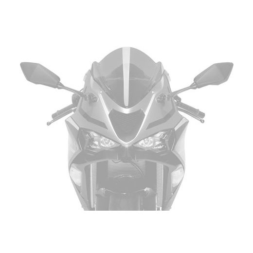 Windscreen PUIG Z-RACING 21831A moder