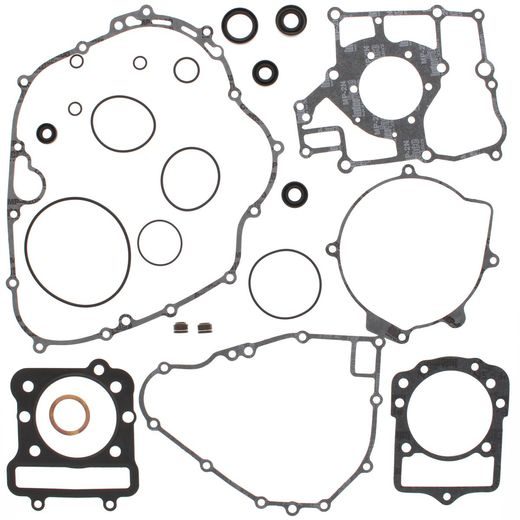 Complete Gasket Kit with Oil Seals WINDEROSA 811871