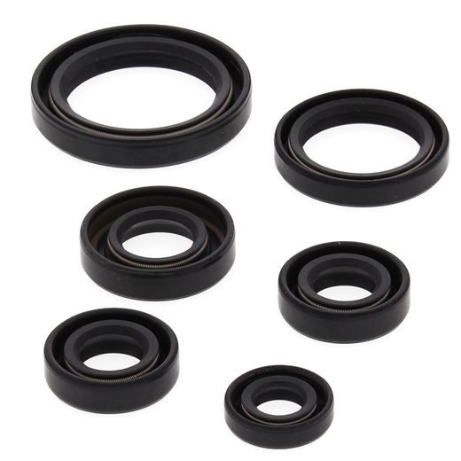 Engine Oil Seal Kit WINDEROSA 822241