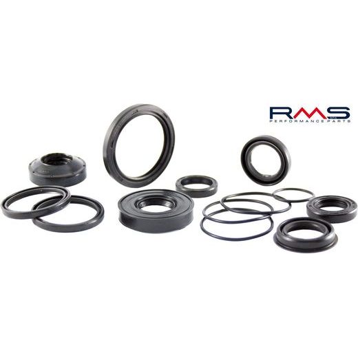 Oil seal RMS 100664000 25x40x8, crankshaft clutch side
