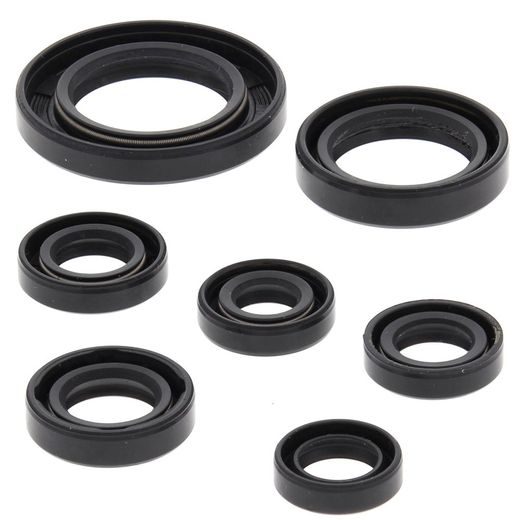 Engine Oil Seal Kit WINDEROSA 822311