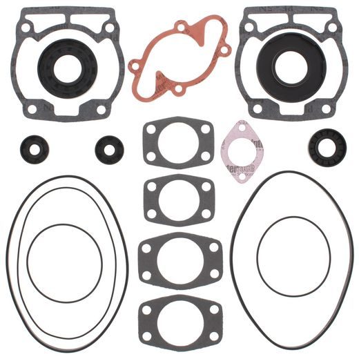 Complete Gasket Kit with Oil Seals WINDEROSA 711165A