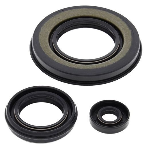 Engine Oil Seal Kit WINDEROSA 55198