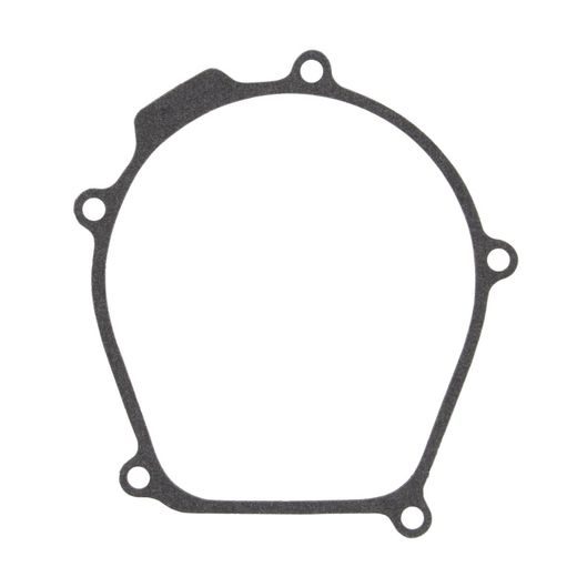 Ignition cover gasket WINDEROSA 817481