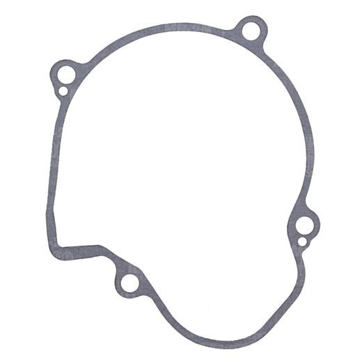Ignition cover gasket WINDEROSA 816684