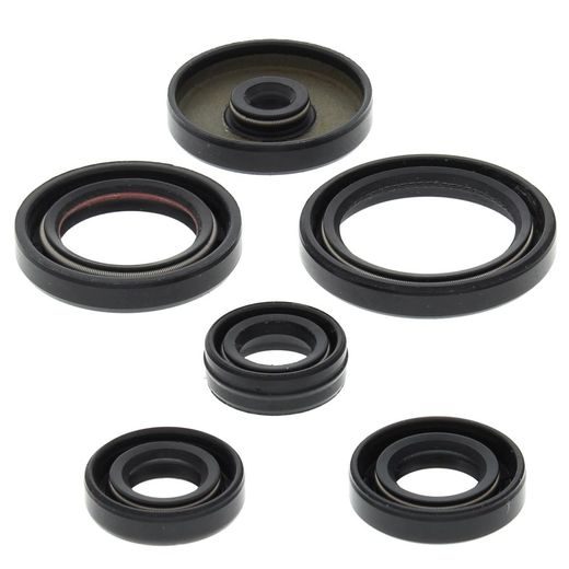 Engine Oil Seal Kit WINDEROSA 822229