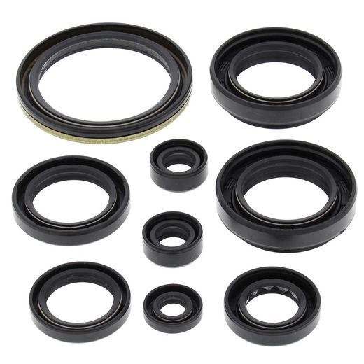 Engine Oil Seal Kit WINDEROSA 822259