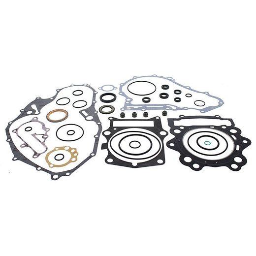 Complete Gasket Kit with Oil Seals WINDEROSA 811974