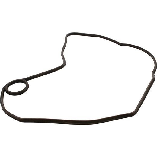 Ignition Cover Gasket WINDEROSA 816330