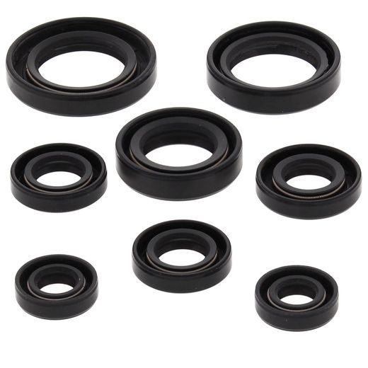 Engine Oil Seal Kit WINDEROSA 822255
