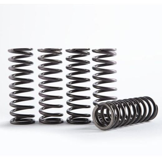 Hi-Temp Clutch Spring Kit HINSON CS330-5-0509 (set of 5)