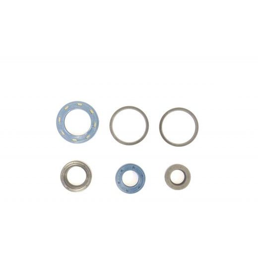 Set tesnil motorja za olje (Engine Oil Seals Kit) ATHENA P400210400021/1