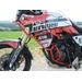 Engine guards RDMOTO CF140R Rdeč (with protectors)