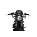 Windshield PUIG FRONTAL PLATE 3812C carbon look
