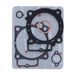 Set tesnil za motor ATHENA P400210160059 for Athena Standard Bore Cylinder kit