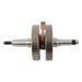 Crankshaft HOT RODS 4059