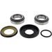 Steering bearing kit All Balls Racing 22-1081