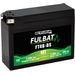 Gelski akumulator FULBAT FT4B-BS GEL
