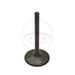 Sesalni ventil (inlet valve) JMT