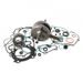 Bottom end kit HOT RODS CBK0205