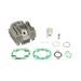 Cilinder kit ATHENA 073900/1 Standard Bore (without Mainfolds) d 38 mm, 47 cc