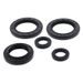 Engine Oil Seal Kit WINDEROSA 822144