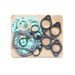 TOPEND set tesnil za motor ATHENA P400110600900/1