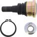 Ball Joint Kit All Balls Racing 42-1066