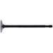 Valve HOT CAMS HC00031 steel exhaust