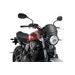 Windshield PUIG FRONTAL PLATE 3591J matt black