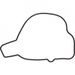 Ignition Cover Gasket WINDEROSA 819210