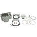 Cilinder kit ATHENA P400485100050 Big Bore d 81 mm, 276 cc