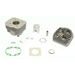 Cilinder kit ATHENA 071900/1 Standard Bore (with Head) d 39 mm, 49 cc