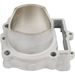 Standard Bore Cylinder Kit CYLINDER WORKS CW30016K01