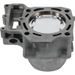 Standard Bore Cylinder Kit CYLINDER WORKS CW30013K03