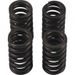Valve spring kit HOT CAMS VSK2002