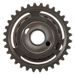 Camshaft exhaust HOT CAMS 2309-1E
