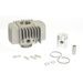 Cilinder kit ATHENA 001900/9 Standard Bore d 38 mm, 50 cc, intake d 9,0 mm