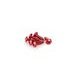 Screws PUIG ANODIZED 2542R rdeč M6 x 20mm (6pcs)